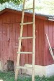 Primitive cedar ladder