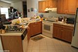 Kitchen Overview