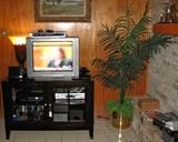 Black Glass Front Double Door TV Stand shown with Sony TV, Large Torch-ere Table Lamp and Brass Potted Silk Palm
