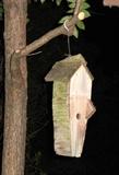 One of many Bird Houses
