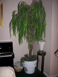 One of several quality Faux trees 