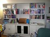 Wall unit with storage cabinets below