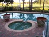 HUGE Terra cotta pots