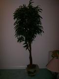 Very realistic faux tree.