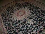 Oriental rug 9x12 and so very pretty