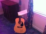 Texarkana acoustic guitar, signed by Willie Nelson
