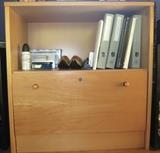 Office furniture includes two file drawers with book shelf from Dania.