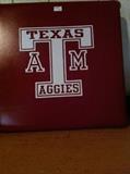                              Texas A & M cushion 
