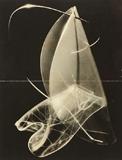 Lot 1033:  PHOTOGRAPH OF LASZLO MOHOLY-NAGY WORK: Photograph of Plexiglas Sculpture, 14'' x 11'', signed verso. Est. $10000/20000**
CONDITION: Folded crease with ripping evident.