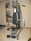 Horizon fitness home gym - $450