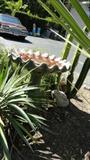 vintage birdbath