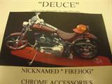 This is an award winning bike called the Firedog and she is a beauty of a Harley Davidson 2001.