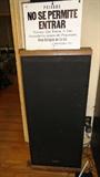 LARGE SPEAKERS NY TECHNIQUE