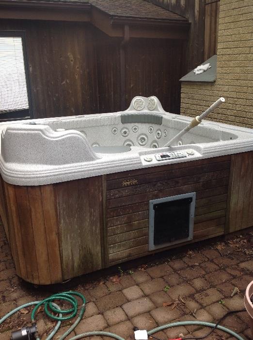 Coleman hot tub with television