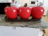 Large Ceramic Apples on Tray-Designer