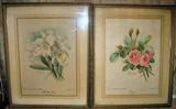 Vintage Prints