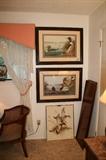 Several Duck lithographs 