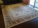 Area rug 8 x 10