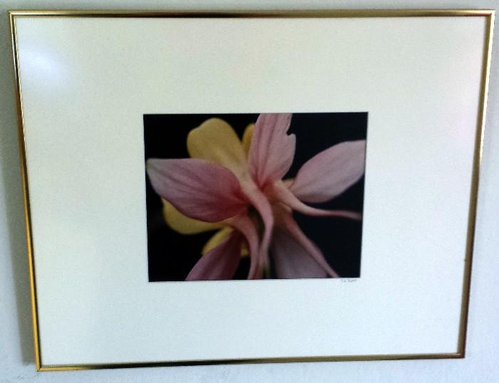 Beautiful framed orchid photo.