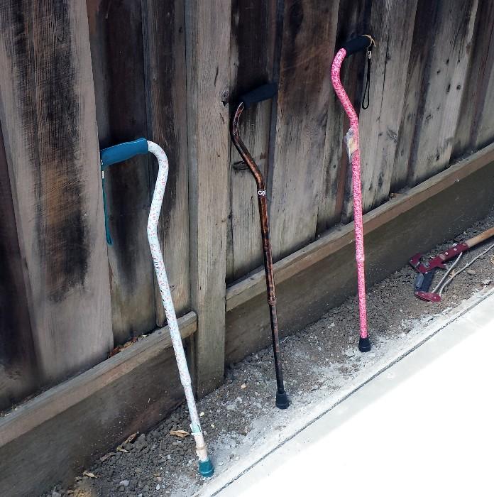 Various canes/walking sticks.