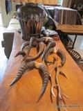 Horns and Antlers from Benin, West African market