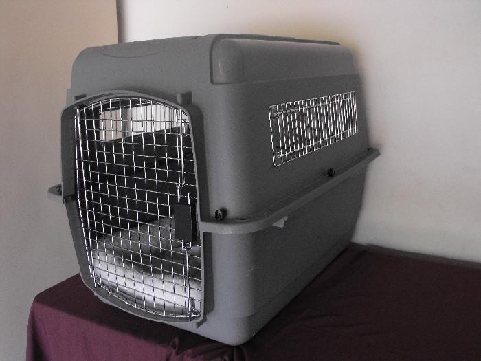 New Pet Carrier and Bed Liner