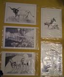 Western edge pencil drawn postcards