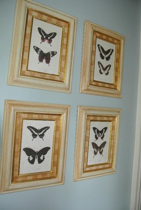 Butterfly Prints