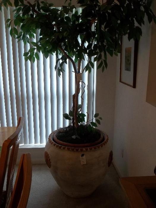 Huge Italian or Mexican pot - plant sold separetly. 