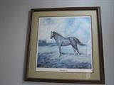 framed, signed, limited edition print of Secretariat
