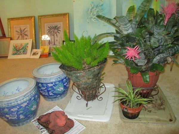 Large ceramic planters and some large potted plants