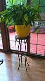 Many Vibrant Live Plants & Plant Stands throughout the home