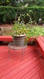 Small Patio Table & Tomato Pot
