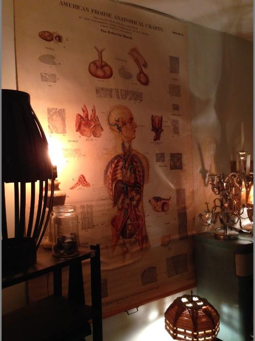 anatomical chart, industrial future lamp , candelabra, popsicle stick lamp, oak bookshelf, marble and alabaster lamps