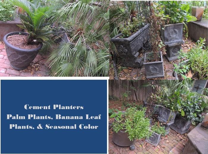 Cement planters and plants