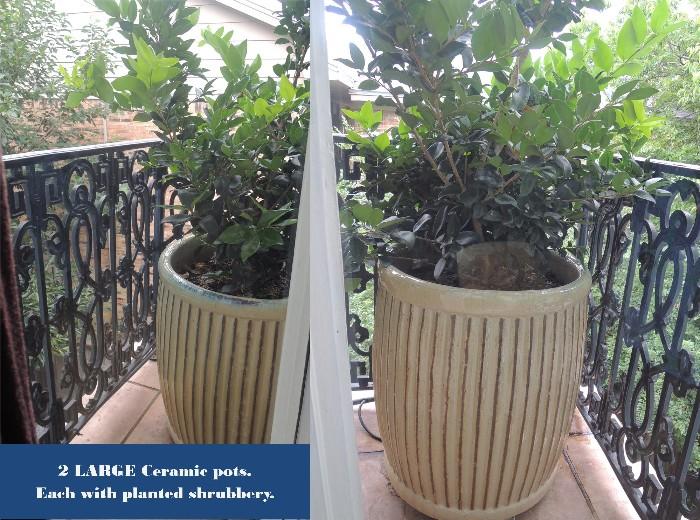ceramic, cement and terra cotta planters and plants