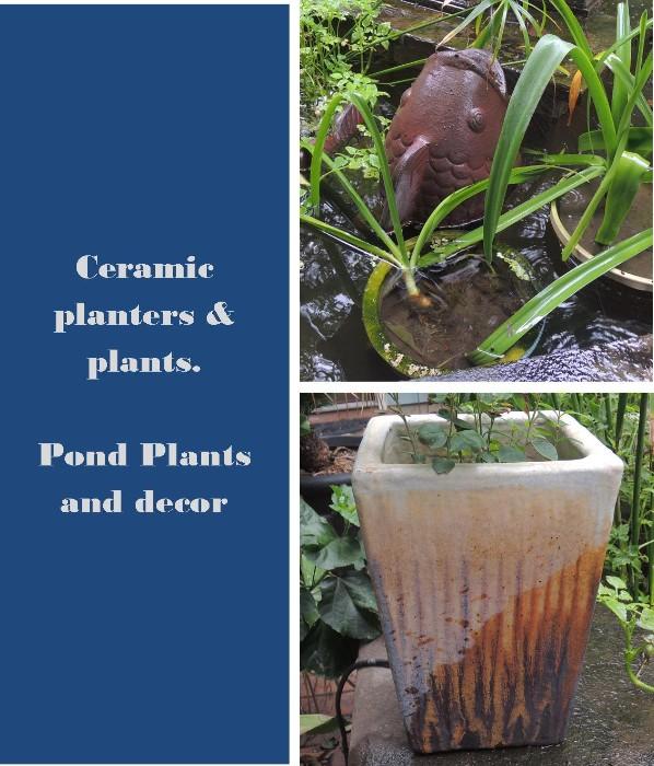ceramic, cement and terra cotta planters and plants