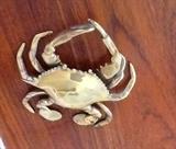Brass crab ashtray