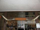 8 ft. longhorn mount