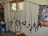 Rods & Reels