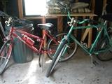 Pair of bikes