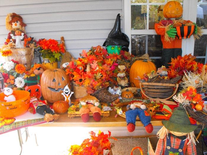 READY FOR FALL? LOTS OF FALL & HALLOWEEN DECORATIONS