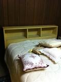 Dixie Headboard/Bed - Mid-Century Modern