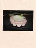 A-61 Mangani Ital.Porcelain- "PEONY NAIF" DISH navy-lime-pink- (13diax 2 1/2h)