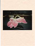 A-62 Mangani Ital Porcelain - "FIGLEAF" DISH cherry/lime (11x3h)