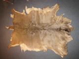 Genuine "WHITETAILED DEERSKIN" Rug / WallHanging (32" x 48" plus)