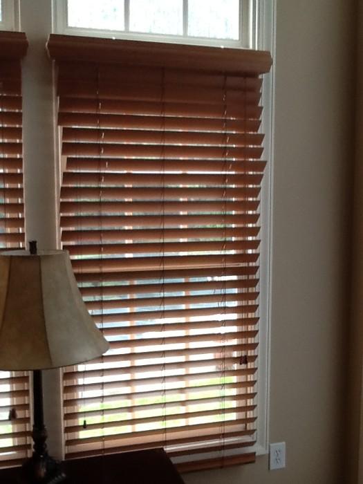 Custom Window Shades