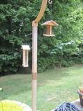 BIRD FEEDER