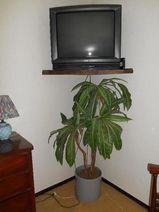 silk plant, TV