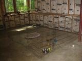 8'x8' Portable Dog Pen